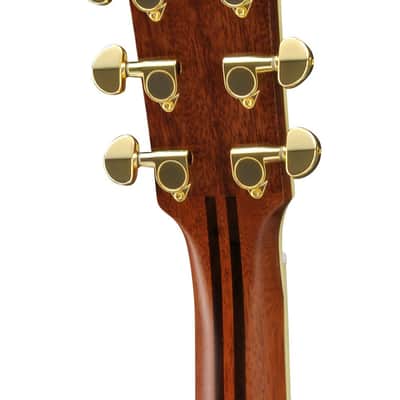 YAMAHA FOLK GUITAR LJ16ARE BS image 2