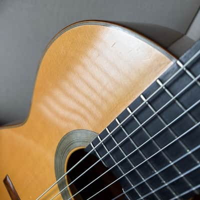 Kenny Hill 7 String Classical Cutaway Crossover Seven String image 18
