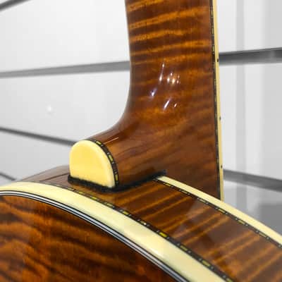 Deering Calico Banjo Nickel 5-String c. 2022 **2nd Hand** image 8