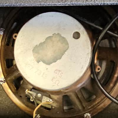 Fender Princeton Reverb Drip Edge 1967 image 4