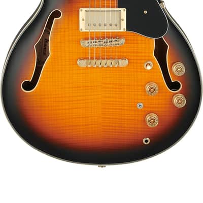 Ibanez JSM20TH BK 【John Scofield Signature Guitar 20th