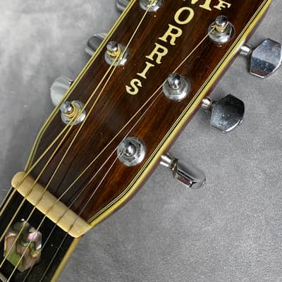 T F Morris W-80 Rare MIJ Premium Model early 1980's | Reverb