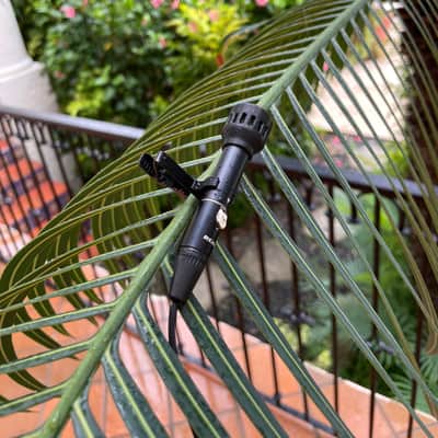Sonorous Objects SO.3 Cardioid Microphone - Matched Stereo Pair - Field Recording - Studio Mic -  Primo EM423 image 9