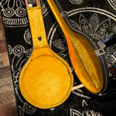 Alvarez Banjo 5 String Banjo with Hard Shell Case image 6