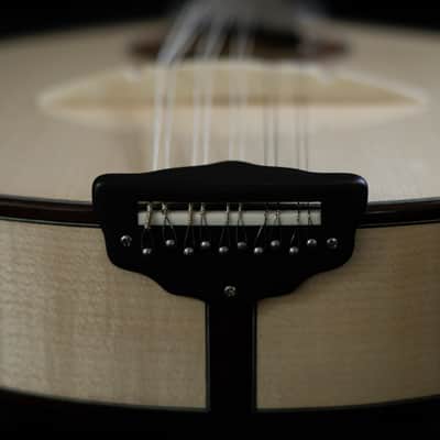 Junio Americo 10-String Mandolin | Brazil image 4