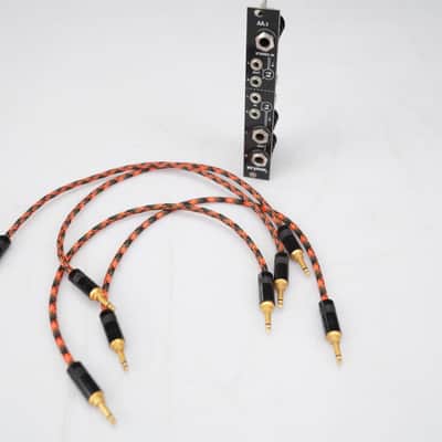 Strymon AA.1 Eurorack Module w/ Braided Patch Cables #58925 image 5