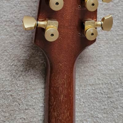 Hamer (USA) Duotone Standard 1995 - Goldtop image 21