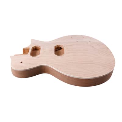 Les Paul Style Electric Guitar HH Body, Mahogany image 5
