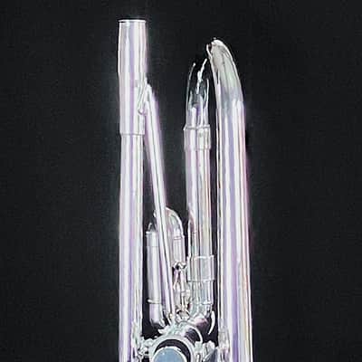 BERKELEY Raw Brass STD Eb/D Trumpet w/ Extra Silver D Bell 2019ish - SILVER PLATED image 11