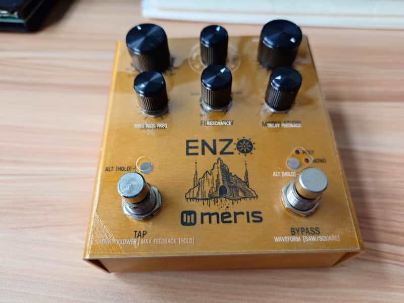 Meris Enzo 2018 - Gold image 1