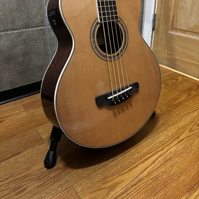 Ibanez AEB105ENT image 2