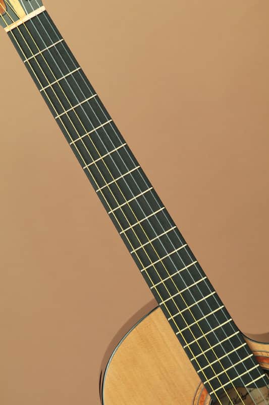 Ryosuke Kobayashi Guitars Nylon Crossover Electric Cocobolo | Reverb