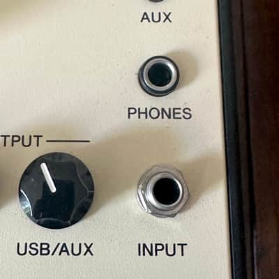 YAMAHA THR10  V.2 image 13
