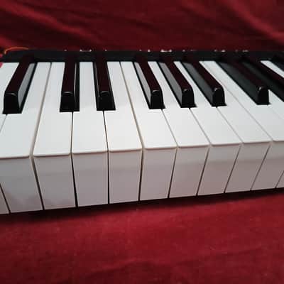 YAMAHA 88L 88H Complete 88 Keys Weighted Style 47W KORG T1 01W PRO X YAMAHA KX88 image 2