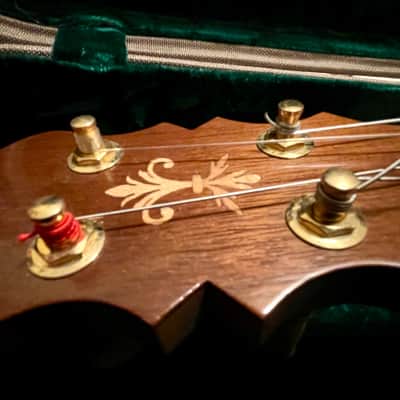 Southcoast RARE — Tenor Guitar/Baritone Ukulele 2017 image 8