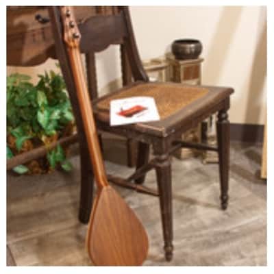 Roosebeck DMWR | Wildwood Dulcimer Rosewood with 3 Round Openings, Flat Pegbox New with Full Warranty! image 7