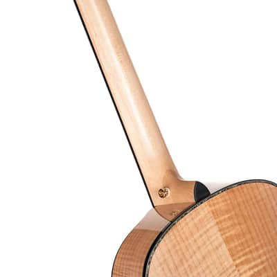 Cort GOLDPASSION Modern Concert Body Torrefied Solid Engelmann Spruce Top Hard Maple Neck 6-String Acoustic-Electric Guitar w/Hard Case image 10