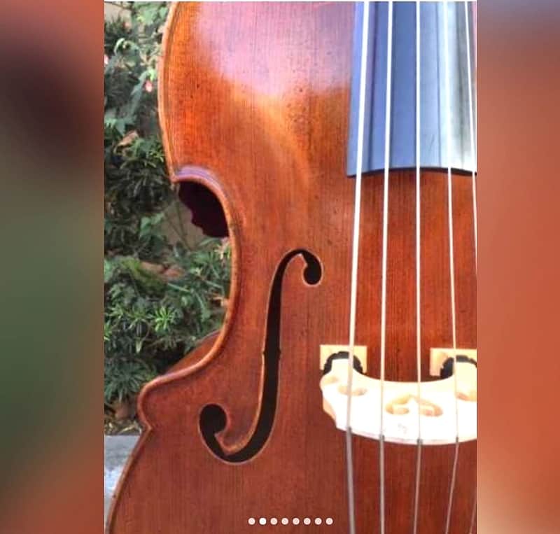 5-String E.M. Pöllmann “Emperor” Busseto Bass 2000 Spruce / Maple (So. CA area) image 1