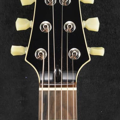 Tom Anderson Bobcat Cub TV Yellow with Black Dog Hair image 3