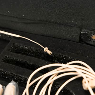 Samson SE10 Earset Microphone with Condenser Capsule & Accessories CG011AR image 3