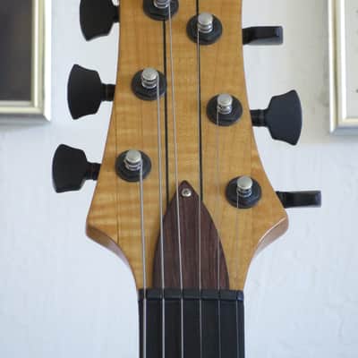 Lashbrook Handmade Custom Guitar Inspired by Jerry Garcia's Cripe Guitars with Naturacoustic Pickup image 3