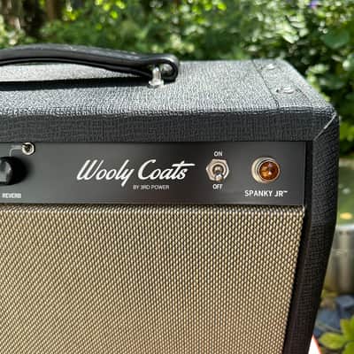 3rd Power Wooly Coats Spanky Jr 6VEL 1x10” Combo Amp image 4