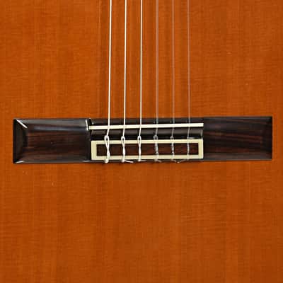 Yamaha GC-41C Classical Guitar (2007) image 5