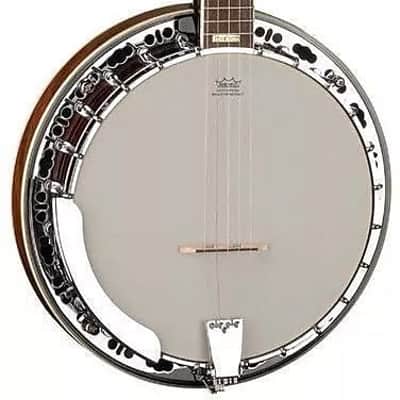 Washburn B11K Americana Series 5-String Resonator Banjo with Rolled Brass Tone Ring & Hardshell Case image 13