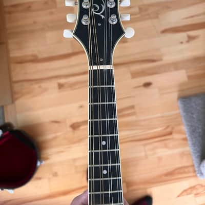Pomeroy Instruments Ridgetop 2-Point Mandolin 2008 - Satin/Semi-Gloss image 5