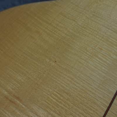 Taylor 655 12-String Acoustic Guitar 1988 image 20