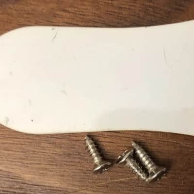 2008 Epiphone Les Paul Special II Electric Guitar Truss Rod Cover With Screws image 2