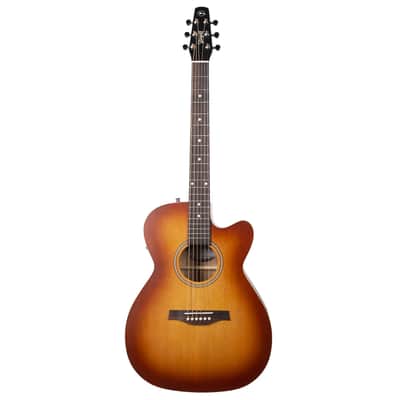 Seagull Entourage CH CW EQ