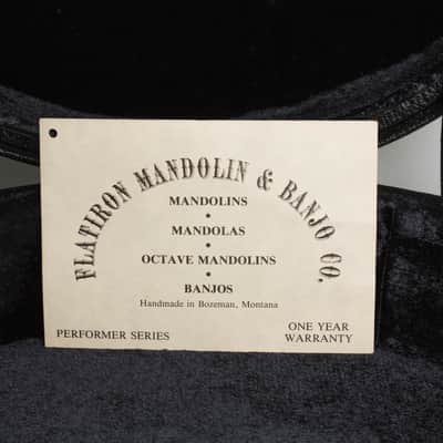 Flatiron  Festival A Carved Top Mandolin (1993), ser. #93031602 image 14
