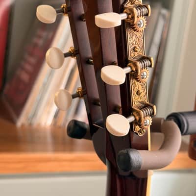 Collings Parlor Deluxe T Adirondack Madagascar Rosewood image 4