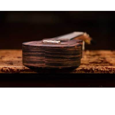 UKULELE SOPRANO ORTEGA, EBENE image 5
