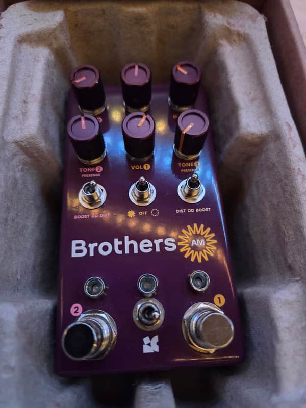 Chase Bliss Audio Brothers AM