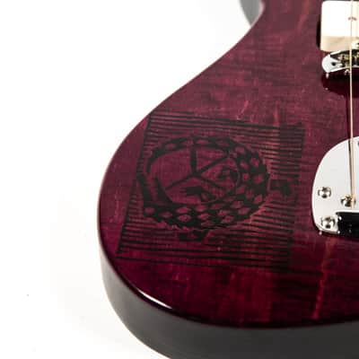 Luppiro Custom Guitar Owned by Mike Campbell image 8
