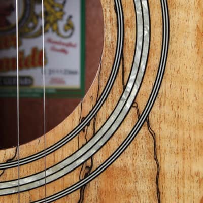 Oscar Schmidt OF2SM Acoustic Guitar Spalted Maple Top Natural High Gloss Finish image 4