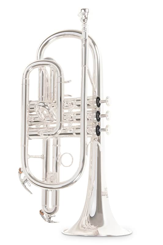 Roy Benson CR-202S in B image 1