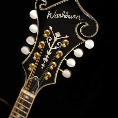 Washburn M3SWETWRK Americana Series Florentine F-Style 8-String Acoustic-Electric Mandolin w/Hard Case image 4