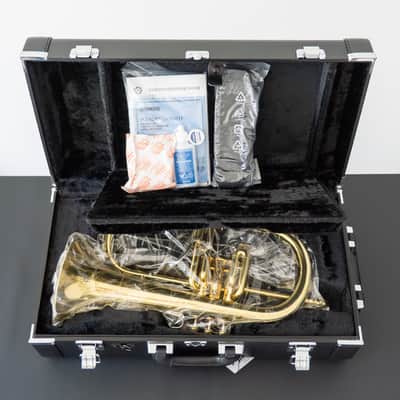 Yamaha YFH-8310ZII Bobby Shew Bb Flugelhorn (SN 4741xx) image 2