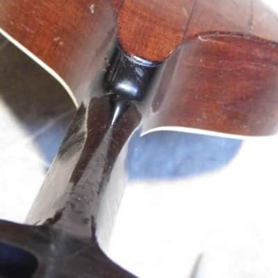 fine old VOGTLANDSPERLE solid arched back 8string MANDOLIN mando Germany 1920s image 8