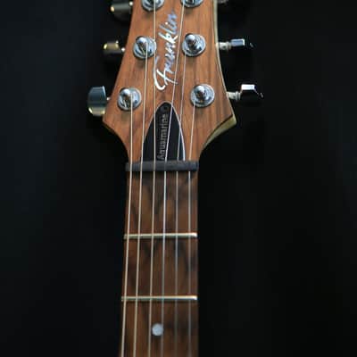 Travis Franklin Guitars - Brazos 24 in Aqua/Blue image 5