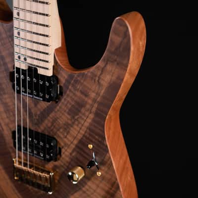 Charvel Pro-Mod DK24 HH HT M - Figured Walnut image 6