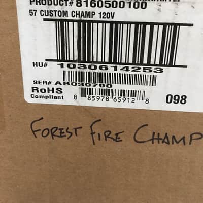 Fender Custom Shop Forest Fire Juniper '57 Champ Guitar Amplifier - Only One Built image 9