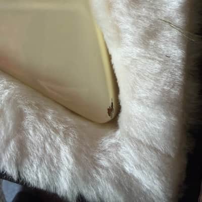 Gibson Explorer 2010 - White image 9