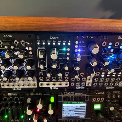 Immagine Modular Masterpiece 10 Years in the Making [48 Modules, Custom Case, Cables, Power, Keystep Pro...] - 4