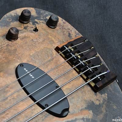 Stradi Symphony Stone 2016, STONE top, titanium frets, great sound and articulation image 13