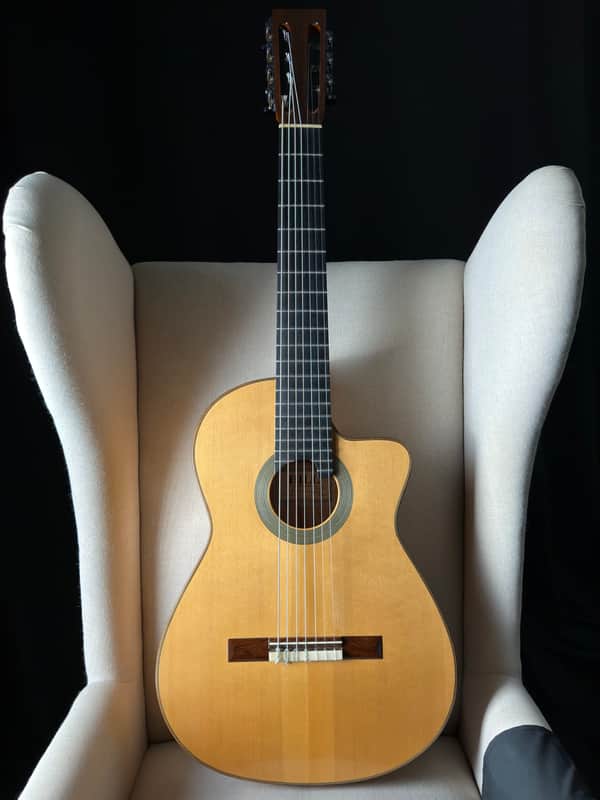 Kenny Hill 7 String Classical Cutaway Crossover Seven String image 1