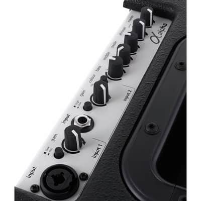 AER Alpha | 2 chnl 40-Watt 1x8" Acoustic Guitar Combo. New with Full Warranty! image 6